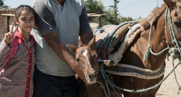 Young girl with horse foal in Tunisia