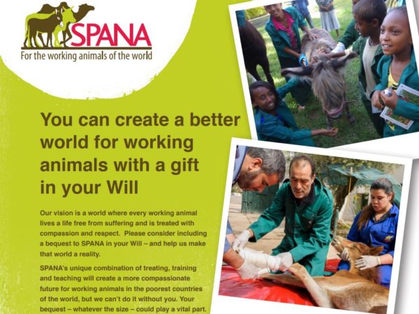 Gift in Will information sheet Australia