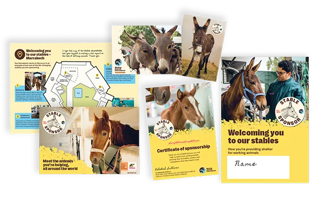 Flatlay of Stable sponsor pack with letters and postcards