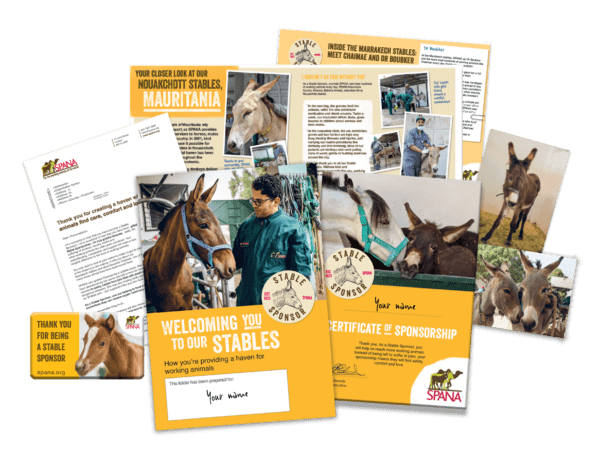 Stable Sponsor welcome pack Australia