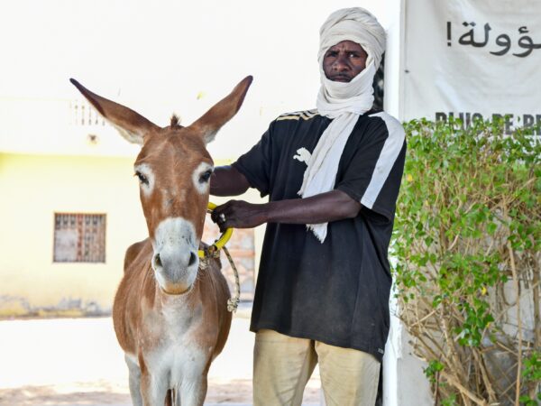 A working donkey with her owner arrives at a SPANA veterinary centre in Mauritania