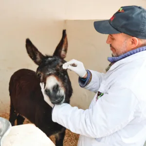 Sight-saving treatment Gift