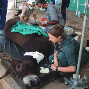 Lifesaving Surgery Gift