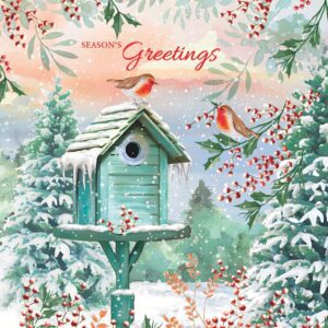 Christmas Card featuring robins by a birdhouse