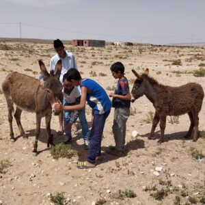 Animal owners and their children with two donkeys.