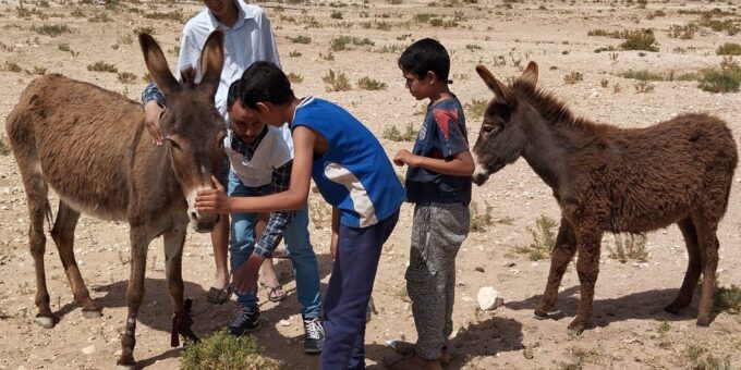 Animal owners and their children with two donkeys.