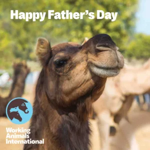 Father's Day E-card