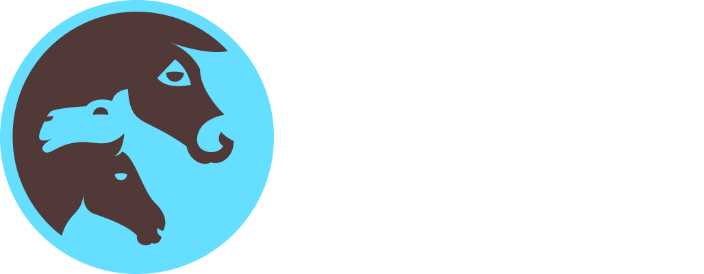Working Animals International