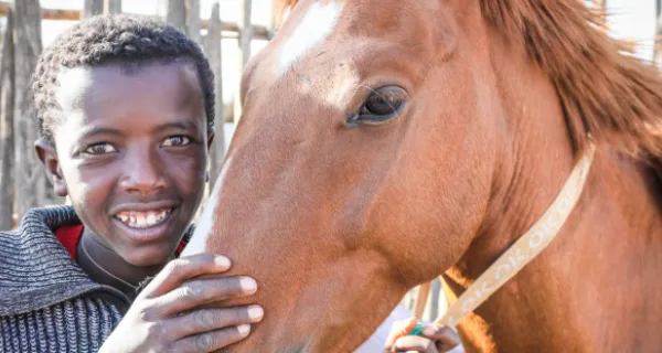 A boy and a brown horse