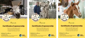 SS certificates featuring a horse, camel or donkey