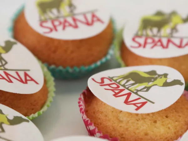 SPANA cupcakes
