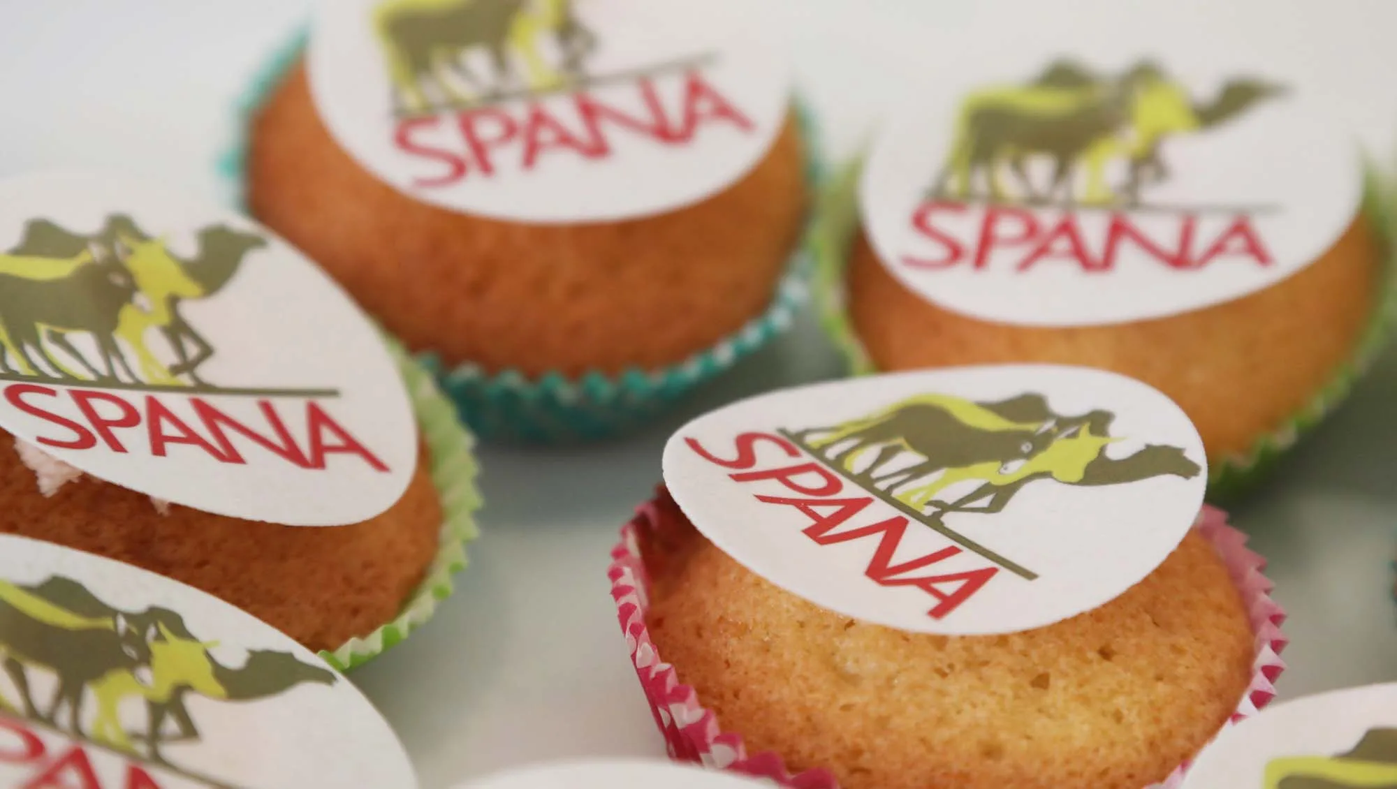 SPANA cupcakes