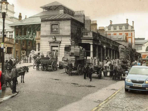 working animals at covent garden london