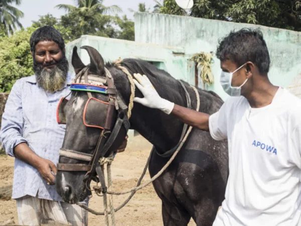 two men with a horse in india