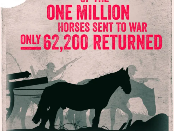 SPANA-Armistice-Poster