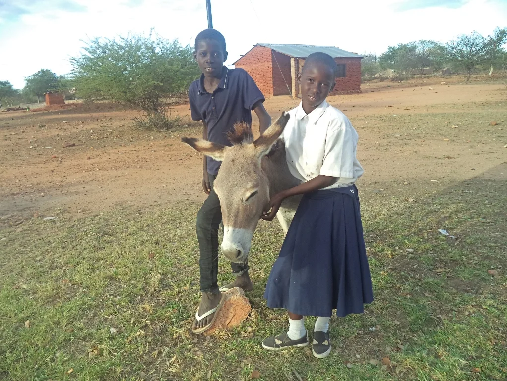 Two children posing with a donkey in Tanzania