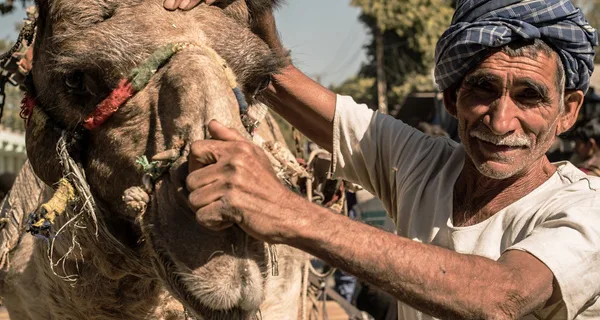 Man and his camel
