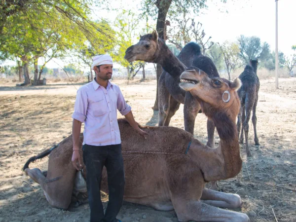 A SPANA funded mobile clinic vehicle in Rajasthan, India