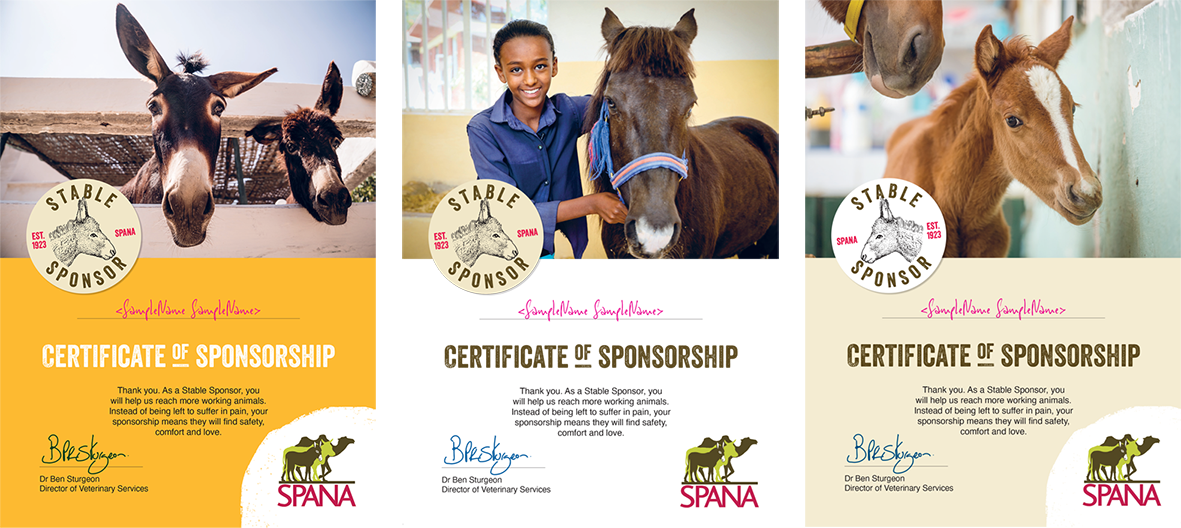 Stable Sponsor certificates