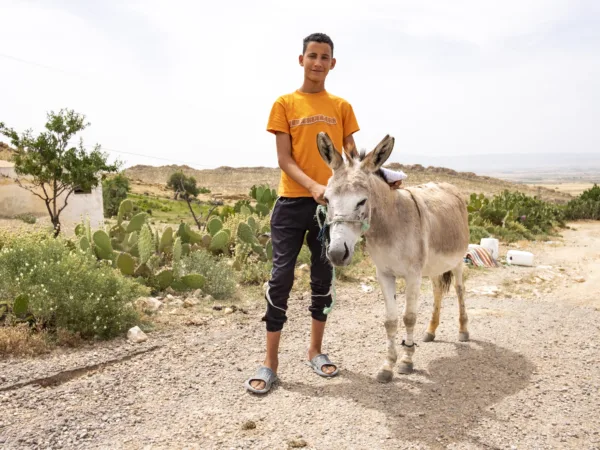 Cream donkey standing on a sand path with a boy in an orange t-shirt holding him