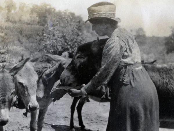 black and white photo of SPANA founder Kate Hosali examining the back of an animal