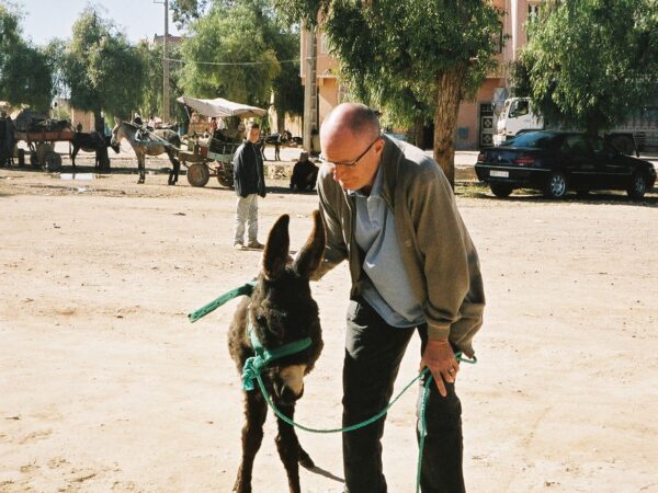 Jim Broadbent stands next to a brown foal in Morocco