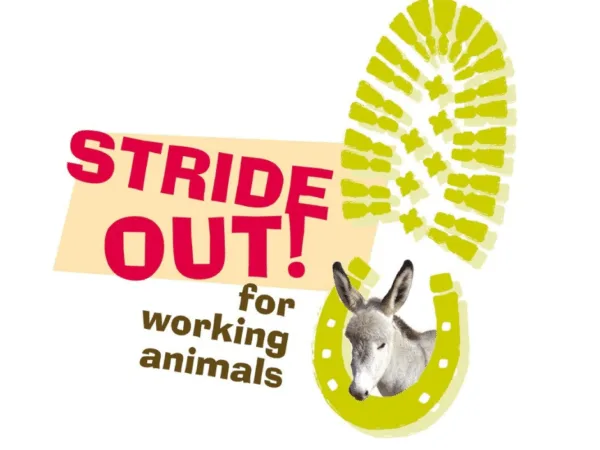 Stride out logo with footprint and a donkey