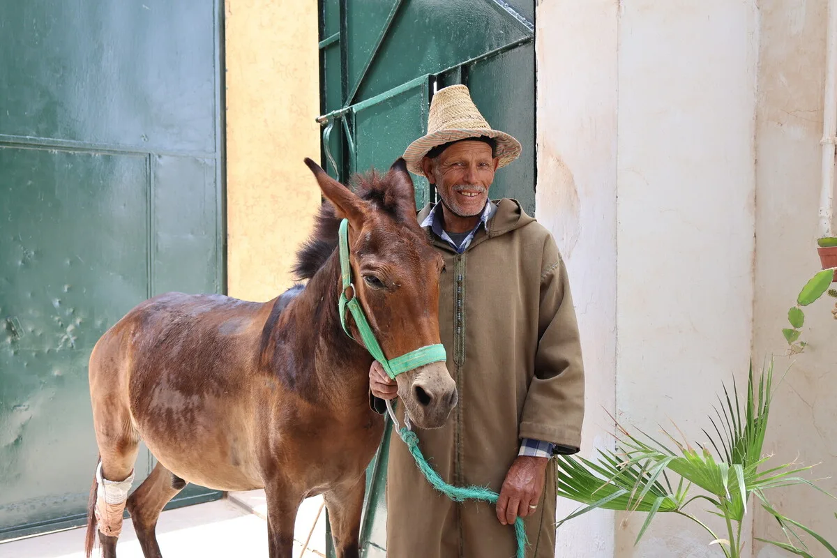 alsuhail and his owner