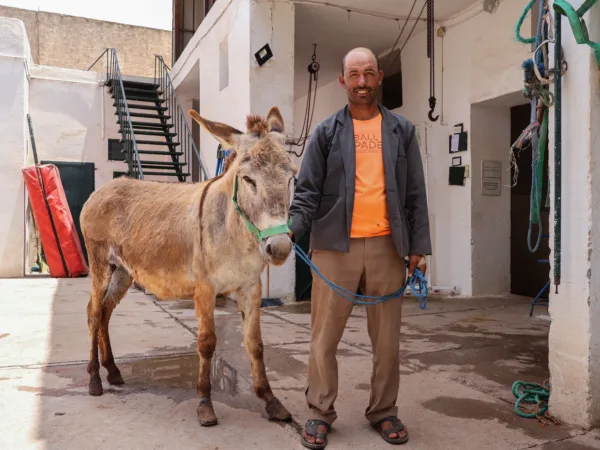 Owner standing next to Maysa the donkey