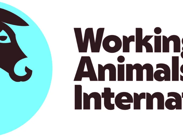New logos for the rebrand from SPANA to Working Animals International. Horizontal logo (primary logo) CMYK