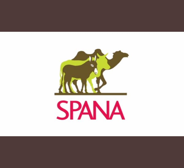 Welcome to Working Animals International