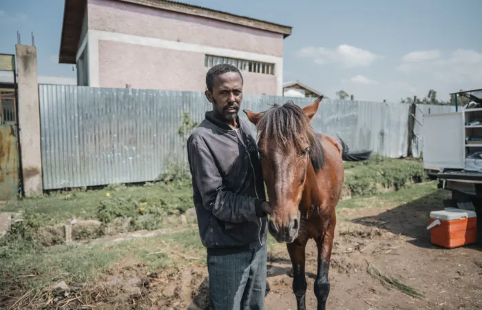 Keyo the carthorse standing with his owner, Asefa.