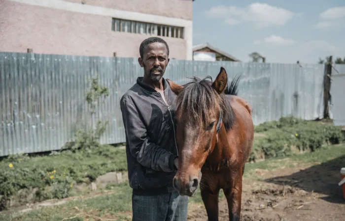 Keyo the carthorse standing with his owner, Asefa.