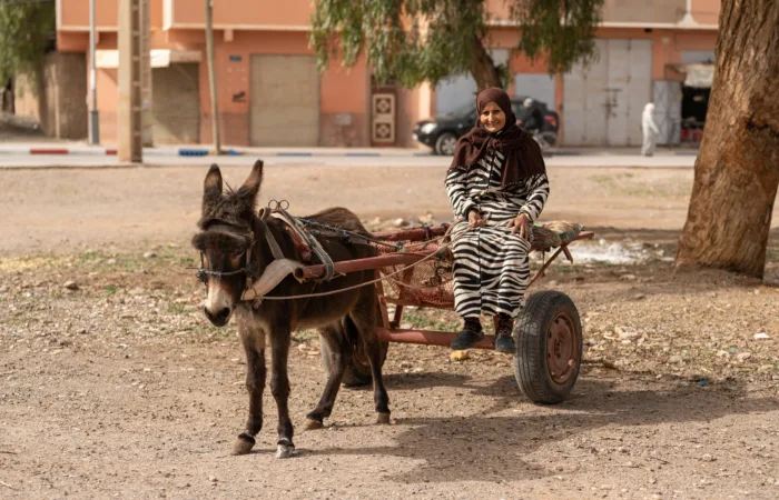 Owner with her donkey pulling her cart